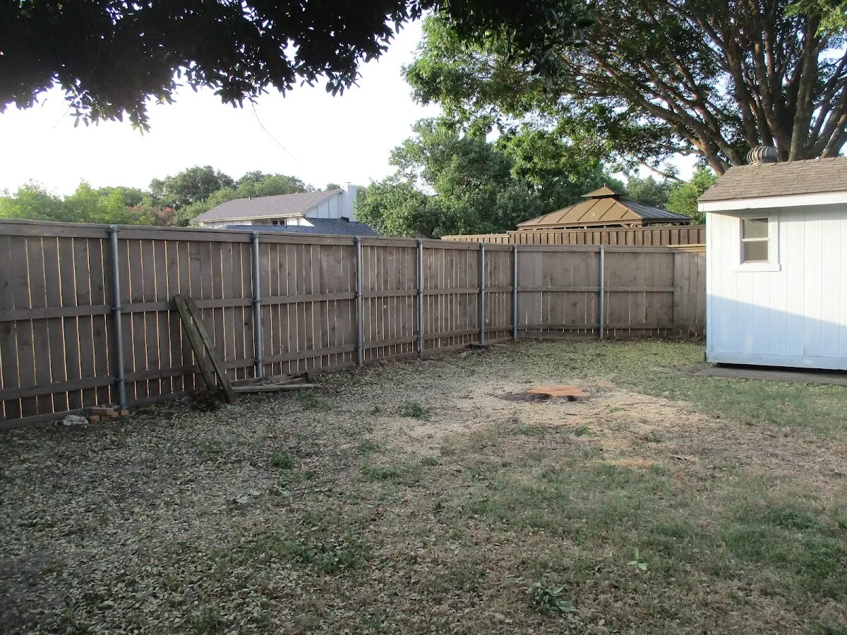 Cleared yard after professional tree removal in Maryneal